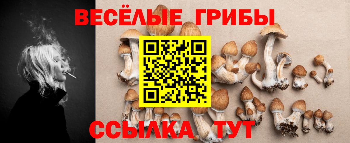 Псилоцибиновые грибы ЛСД  Вход с VPN  Якутск 